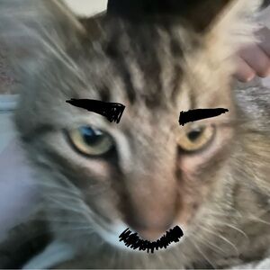 Meet your Posher, Lana